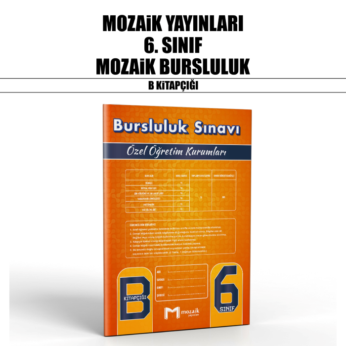 MOZAİK 06.SINIF ÖZEL ÖĞR.BURSLULUK B - 25-26